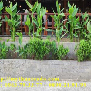 Đá Ong (đá Ong ghép, đá ong xám) 10cm x 20cm