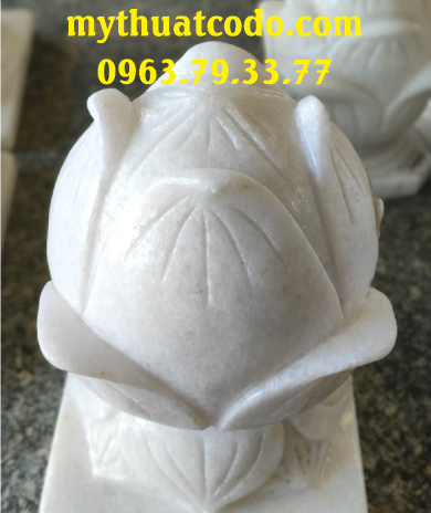 Hoa sen đá granite