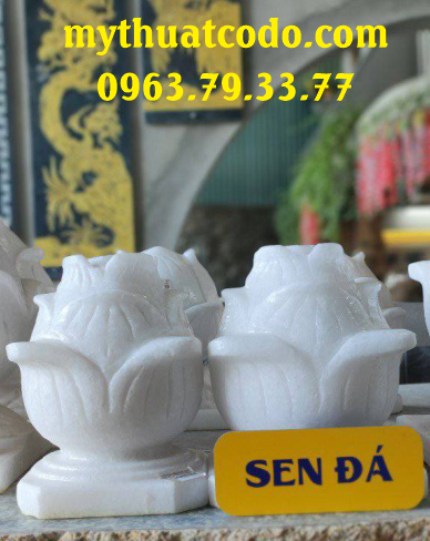 Hoa sen đá granite