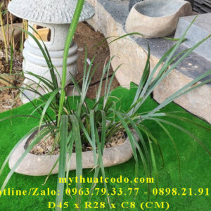 Mỹ thuật Cố Đô cung cấp Chậu đá cuội, chậu đá trồng cây, đá để bàn, chậu sen đá, chậu cá cảnh mini