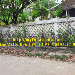 Mỹ Thuật Cố Đô chuyên cung cấp các loại Gạch trồng cỏ 8 lỗ, gạch 2 lỗ, Ô gió (Bông gió)