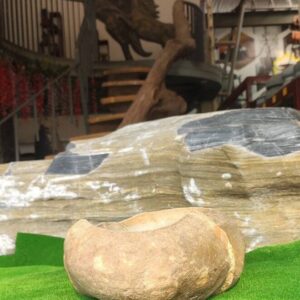 Mỹ thuật Cố Đô thiết kế và cung cấp chậu đá cuội, chậu đá trồng cây, chậu đá để bàn, chậu sen đá