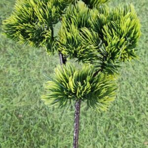 Công ty Mỹ thuật Cố Đô cung cấp cành tùng giả nghệ thuật, cây hoa giả